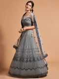 Great Grey Zari Embroidered Net Party Wear Lehenga Choli