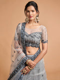 Great Grey Zari Embroidered Net Party Wear Lehenga Choli