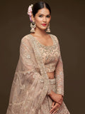 Stunning Royal Beige Embroidered Soft Net Lehenga Choli With Dupatta