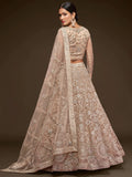 Stunning Royal Beige Embroidered Soft Net Lehenga Choli With Dupatta