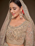 Cute Royal Beige Embroidered Soft Net Engagement Wear Lehenga Choli
