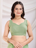 Spectacular Pista Green Thread Embroidery Net Festive Wear Saree