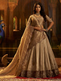 Remarkable Brown Dori Embroidery Organza Function Wear Lehenga Choli
