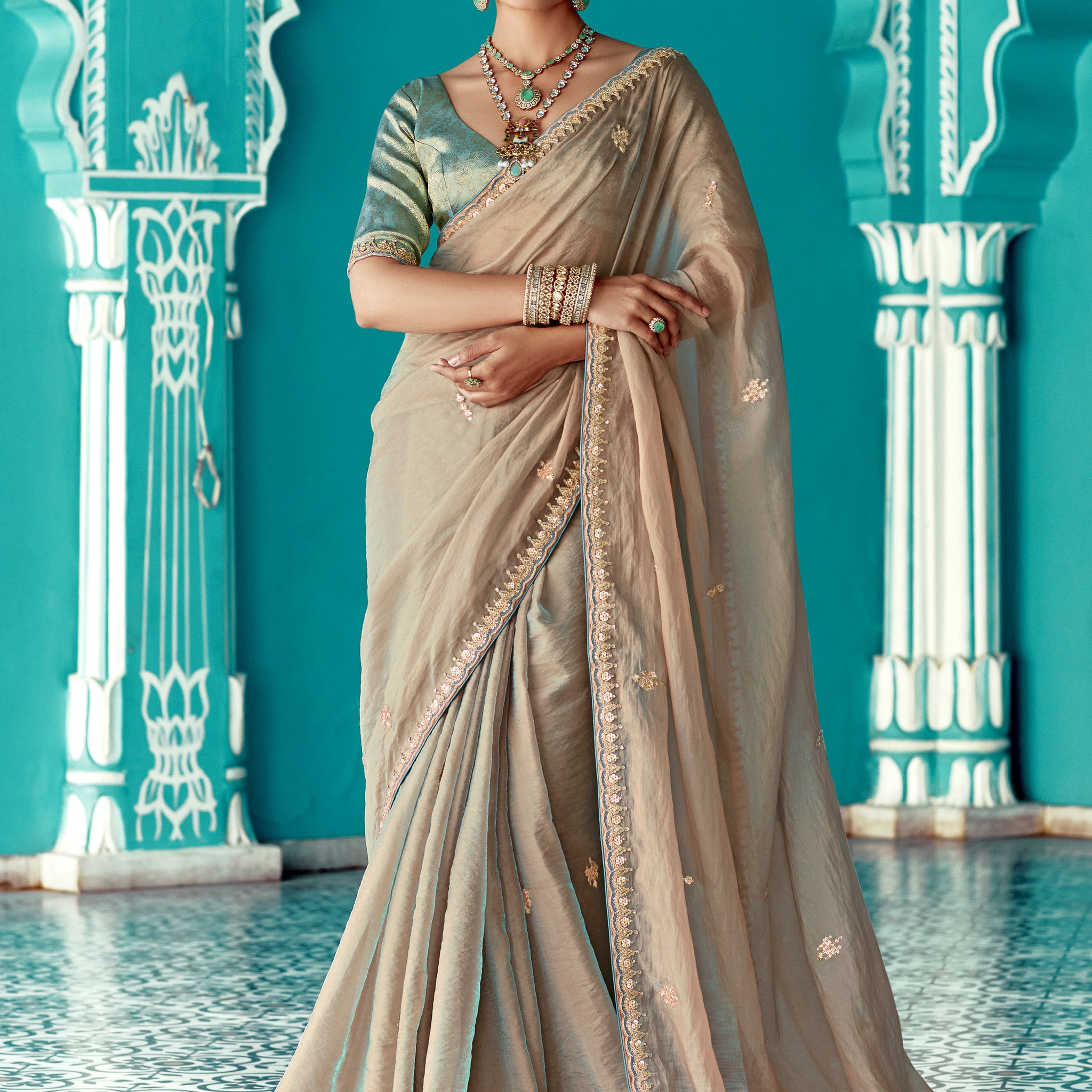 Stunning Beige Embroidered Border Tissue Silk Festive Wear Saree