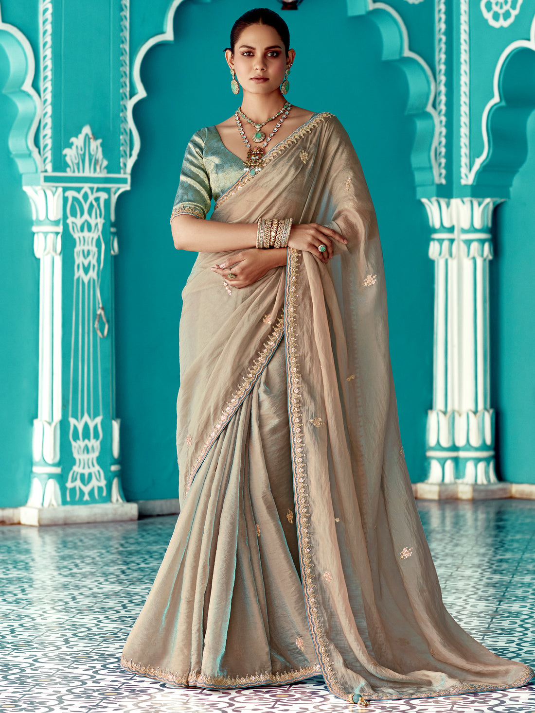 Stunning Beige Embroidered Border Tissue Silk Festive Wear Saree