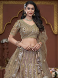 Amazing Golden Jarkan Work Net Wedding Lehenga Choli With Dupatta