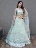 Sweet Pista Green Thread Embroidered Net Designer Lehenga Choli
