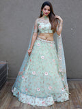Sweet Pista Green Thread Embroidered Net Designer Lehenga Choli
