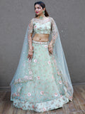 Sweet Pista Green Thread Embroidered Net Designer Lehenga Choli