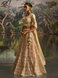 Elegant Cream Dori Embroidery Net Bridesmaid Lehenga Choli With Dupatta
