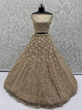 Stellar Beige Sequins Embroidered Net Lehenga Choli With Dupatta