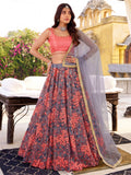 Adorable Grey Floral Embroidered Net Sangeet Wear Lehenga With Blouse