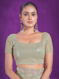 Alluring Pista Green Sequins Organza Party Wear Saree With Blouse - Zeel Clothing
