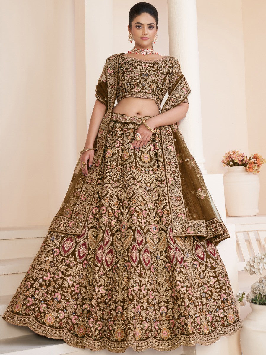 Wonderful Beige Dori Work Net Engagement Wear Lehenga Choli