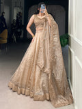 Astonishing Brown Organza Traditional Lehenga Choli With Dupatta - Zeel Clothing