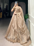 Astonishing Brown Organza Traditional Lehenga Choli With Dupatta - Zeel Clothing