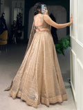 Astonishing Brown Organza Traditional Lehenga Choli With Dupatta - Zeel Clothing