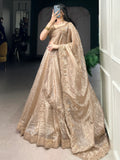 Astonishing Brown Organza Traditional Lehenga Choli With Dupatta - Zeel Clothing
