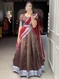 Astonishing Brown Woven Dupion Silk Festival Wear Lehenga Choli - Zeel Clothing