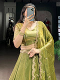 Attractive Green Sequins Work Organza Mehendi Wear Lehenga With Choli - Zeel Clothing