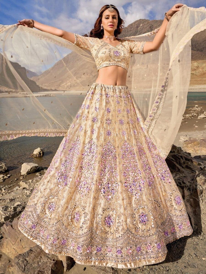 Awesome Beige Mirror Work Net Wedding Wear Lehenga Choli With Dupatta