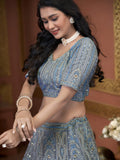 Awesome Sky-Blue Jarkan Work Net Engagement Wear Lehenga Choli - Zeel Clothing
