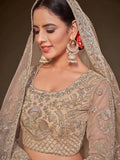 Cute Royal Beige Embroidered Soft Net Engagement Wear Lehenga Choli - Zeel Clothing