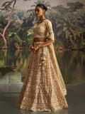 Elegant Cream Dori Embroidery Net Bridesmaid Lehenga Choli With Dupatta