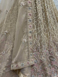 Enchanting Beige Multi Thread Work Net Reception Wear Lehenga Choli - Zeel Clothing