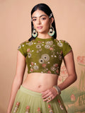 Endearing Pastel Green Mirror Work Net Party Wear Lehenga Choli - Zeel Clothing