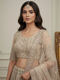 Exceptional Golden Dori Work Net Sangeet Wear Lehenga Choli With Dupatta
