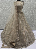 Exceptional Golden Dori Work Net Sangeet Wear Lehenga Choli With Dupatta