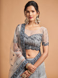 Great Grey Zari Embroidered Net Party Wear Lehenga Choli - Zeel Clothing