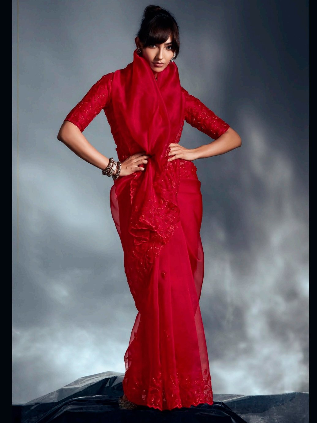 Monochrome Red Cutdana Work Organza Bridal Wear Saree With Blouse