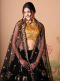 Magnificent Black Mirror Work Net Party Wear Lehenga choli - Zeel Clothing