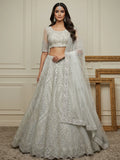 Notable White Embroidered Net Function Wear Lehenga Choli With Dupatta