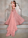 Precious Peach Thread Embroidery Net Party Wear Lehenga Choli - Zeel Clothing