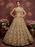 Regal Beige Floral Embroidered Net Sangeet Wear Lehenga With Blouse