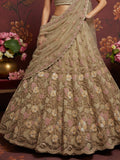 Regal Beige Floral Embroidered Net Sangeet Wear Lehenga With Blouse