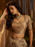 Remarkable Brown Dori Embroidery Organza Function Wear Lehenga Choli