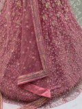 Shiny Pink Multi Thread Work Net Engagement Wear Lehenga With Blouse