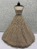 Stellar Beige Sequins Embroidered Net Lehenga Choli With Dupatta