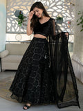Stunning Black Embroidery Organza Reception Wear Lehenga Choli - Zeel Clothing
