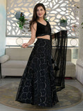 Stunning Black Embroidery Organza Reception Wear Lehenga Choli - Zeel Clothing