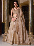 Stunning Brown Organza Wedding Lehenga With Embroidered Blouse - Zeel Clothing