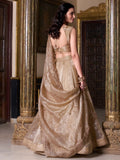 Stunning Brown Organza Wedding Lehenga With Embroidered Blouse - Zeel Clothing