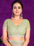 Stunning Pista Green Lace Work Chiffon Traditional Saree With Blouse - Zeel Clothing