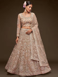 Stunning Royal Beige Embroidered Soft Net Lehenga Choli With Dupatta - Zeel Clothing