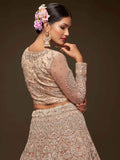 Stunning Royal Beige Embroidered Soft Net Lehenga Choli With Dupatta - Zeel Clothing