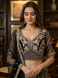 Stupendous Black Thread Embroidered Net Party Wear Lehenga Choli With Dupatta